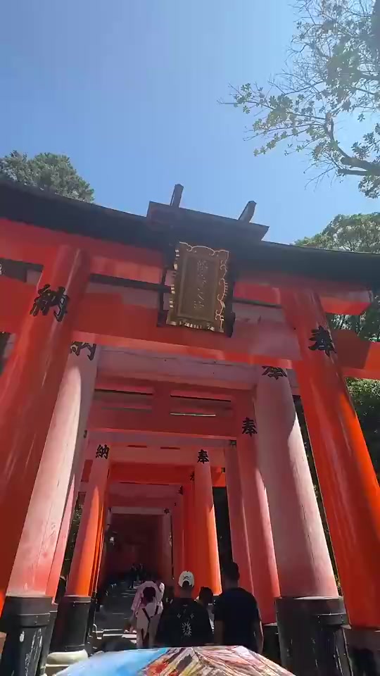 穿上旗袍的野球场肘姐气质一下子就起来了