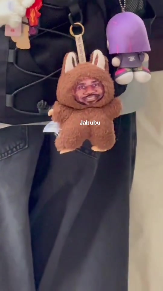 网友逛街偶遇有人书包挂着詹姆斯labubu