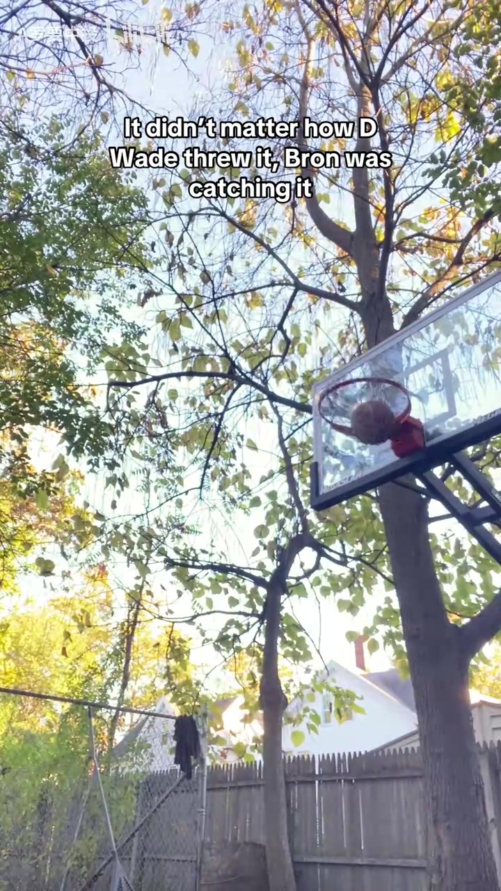 网红恶搞当年的詹韦连线不管韦德怎么扔詹姆斯都能拿到