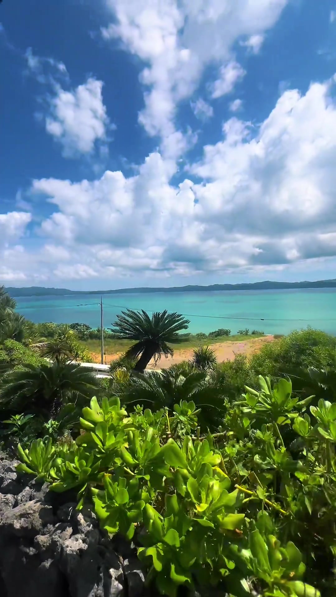 张琳芃妻子社媒发布度假视频海底小纵队已到达目的地
