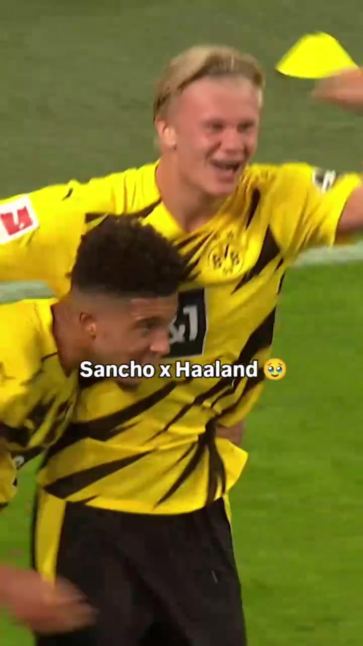 那时你们都有光明的未来桑乔和哈兰德的多特时期碎片