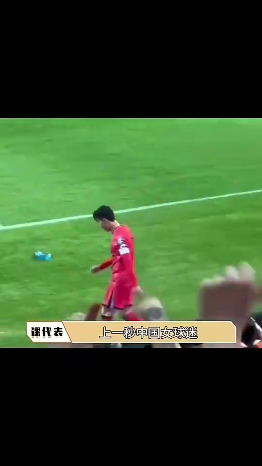 中国女粉犯花痴孙兴慜你好帅啊下一秒孙兴慜直接国粹输出