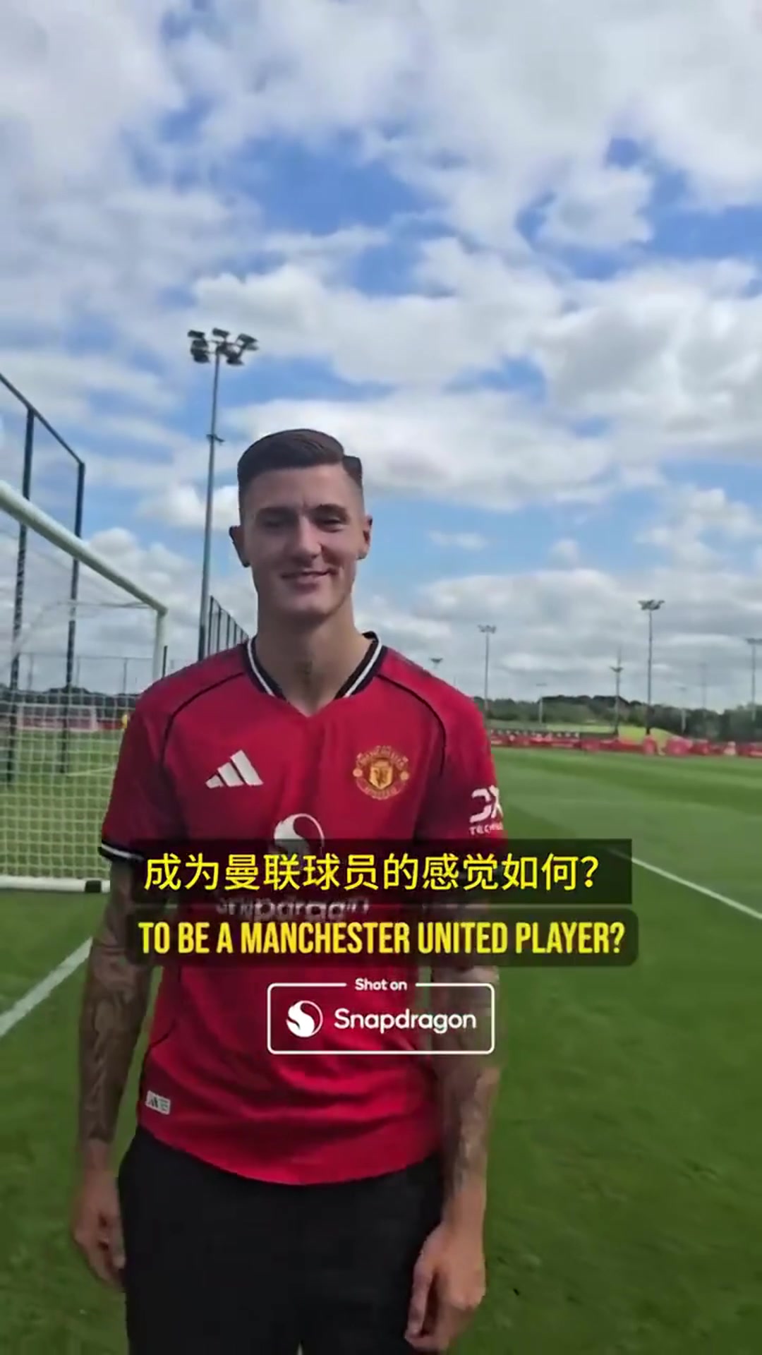 你的足球偶像是塞斯科伊布纯粹的伟大