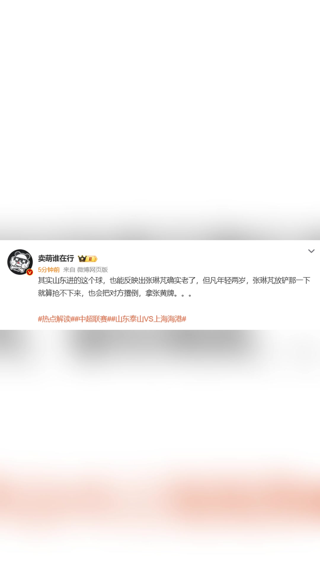 博主张琳芃确实老了但凡年轻两岁也会把对方撂倒